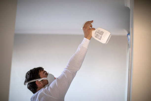 Best Mold Remediation for Specific Building Types in Collinsville, MS