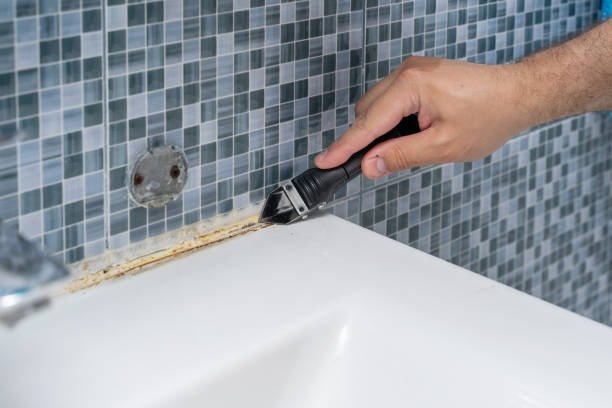 Best Post-Flood Mold Remediation in Collinsville, MS