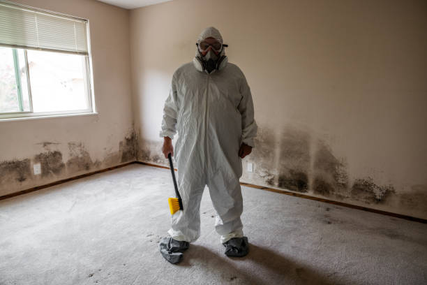 Collinsville, MS Mold Remediation Company